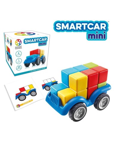 SmartCar mini