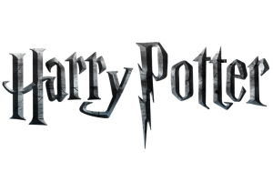 Réplica Saeta de Fuego Harry Potter